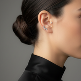 The Mini Triangle and Baguette Diamond Crawler (Legacy & Impact)